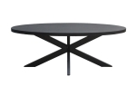 Livingfurn Eettafel Kala Ovaal Spider 160cm Mangohout