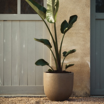 Kave Home Bloempot Selvi Lichtbruin Set van 2