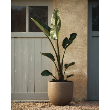 Kave Home Bloempot Selvi Lichtbruin Set van 2
