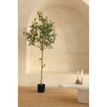 PrettyPlants Kunstboom Eucalyptus 180cm