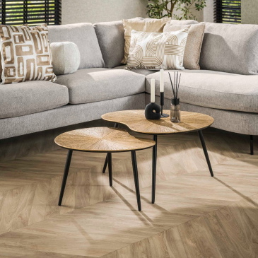 Salontafel Ray Metal Niervormig Brons Set van 2 - Giga Meubel