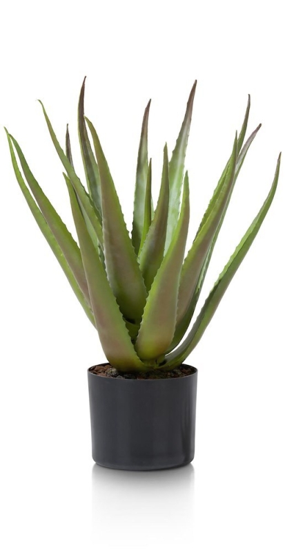 Coco Maison Kunstplant Aloe 50cm