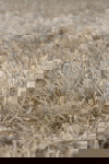 Dutchbone Vloerkleed Hairy Beige 160x230cm