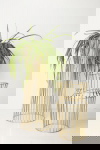 Urban Nature Culture Plantenstandaard Solstice S Goud