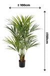 PrettyPlants Kentia Kunstpalm 150cm