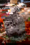 Kare Design Beeld Gorilla Side Zwart XL