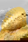 Kare Design Beeld Gorilla Butler Goud