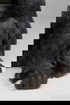 Kare Design Toiletrolhouder Sitting Gorilla
