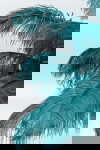 Kare Design Tafellamp Feather Palm Groen