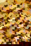 Kare Design Wanddecoratie Mikado Goud 120x120cm