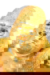 Kare Design Beeld Gorilla Side Goud M