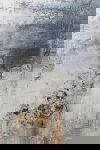 Kare Design Schilderij Abstract Into The Night 120x210cm