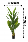 PrettyPlants Kunstplant Strelitzia Maikel 180cm