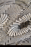 Kare Design Dressoir Eye Of Tiger 115cm