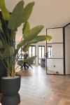 PrettyPlants Kunstplant Strelitzia Maikel 180cm