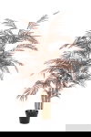 Light & Living Kunstplant Palm Donker Brons 198cm