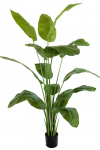 PrettyPlants Kunst Bananenplant Mowgli 180cm