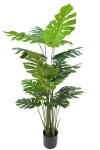 PrettyPlants Monstera Kunstplant Misty 165cm