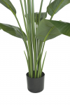 PrettyPlants Kunst Bananenplant Mowgli 180cm