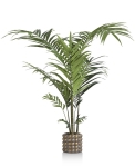 Coco Maison Kunstplant Kentia Palm 210cm