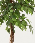 Kave Home Kunstboom Ficus Zwart Pot 180cm