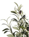 Coco Maison Kunstplant Olive Tree 180cm Groen