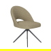 Metalen Swivel