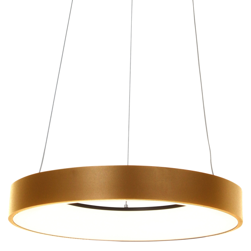 Steinhauer Ringlede Hanglamp Goud Ø48cm