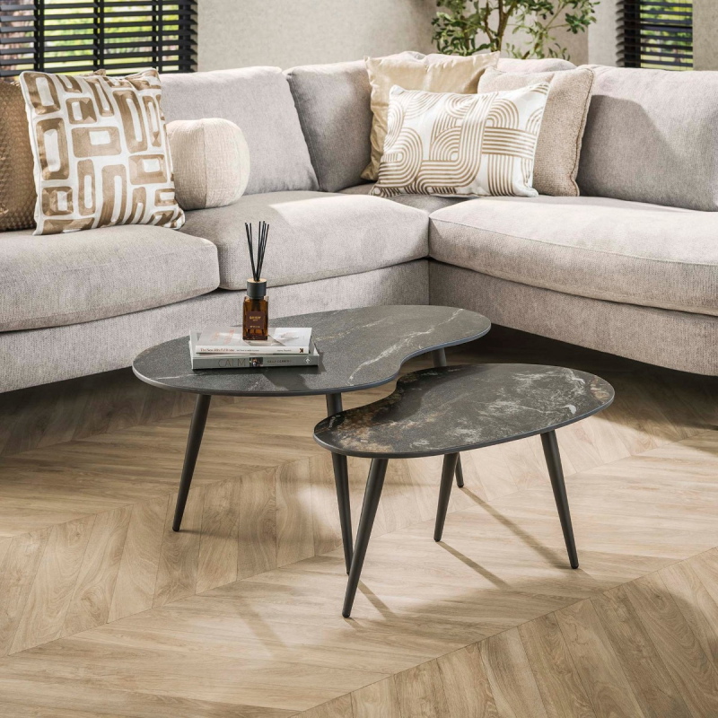 Salontafel Fossil Niervormig Zwart Set van 2 - Giga Meubel