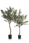 Coco Maison Kunstplant Olive Tree 180cm Groen