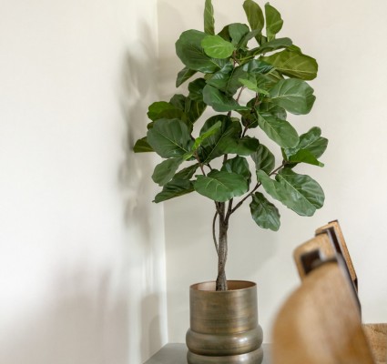 PrettyPlants Kunstplant Ficus Lyrata 180cm